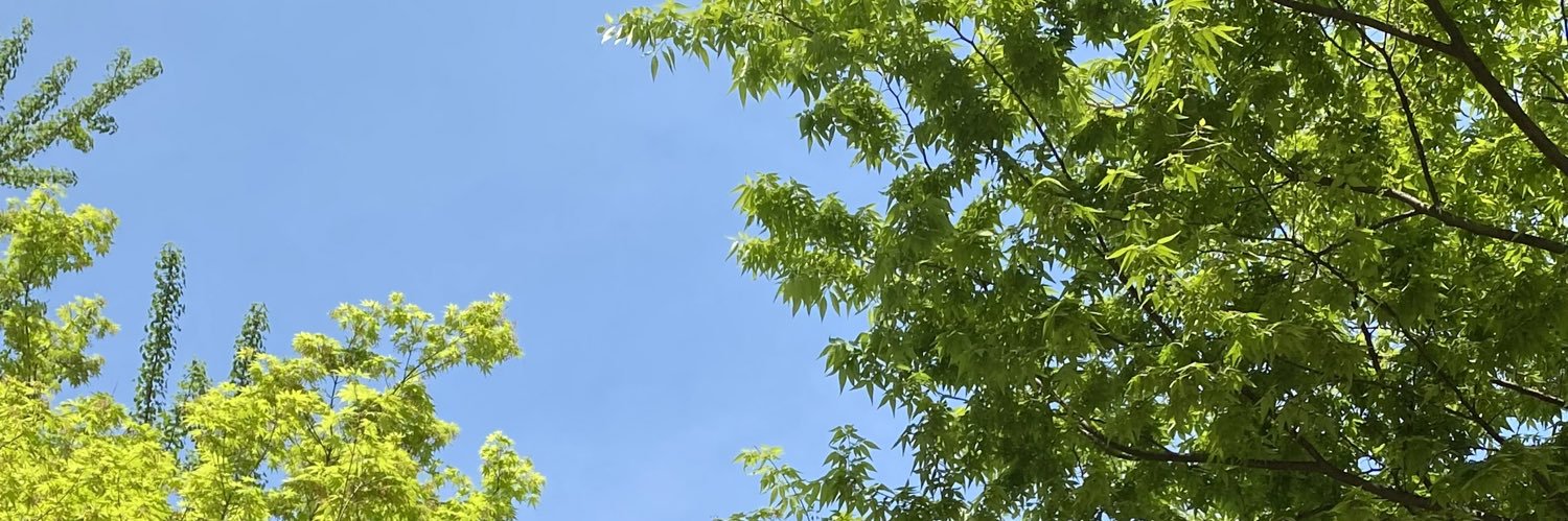 니은🎗️ banner