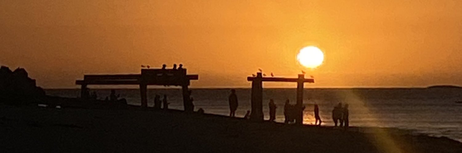 rockpooling's profile banner image