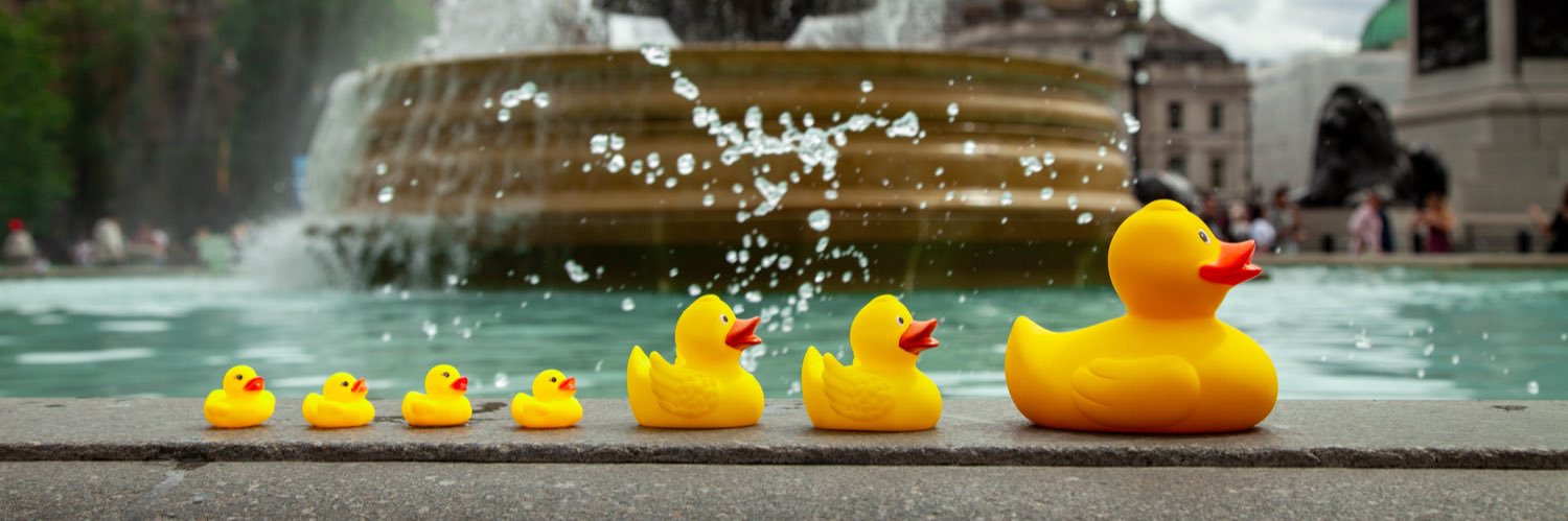 Duck World banner
