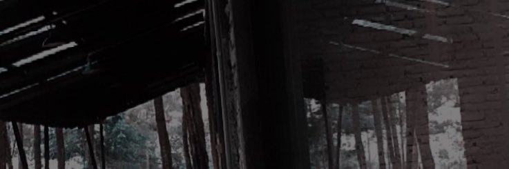 albertryand's profile banner image