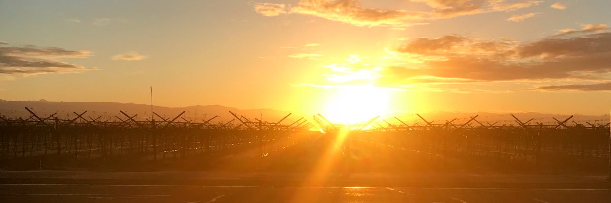 Quinn Tedford banner