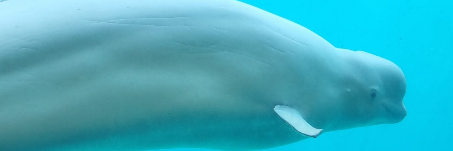 dkfk0219's profile banner image