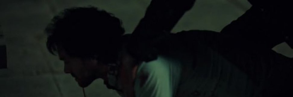 Vince 𐂂's banner