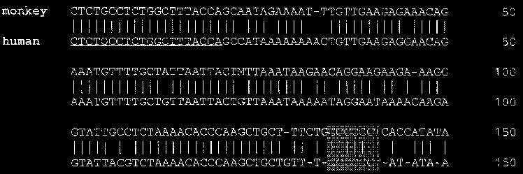 Humble Simian - VR hugs wanted banner