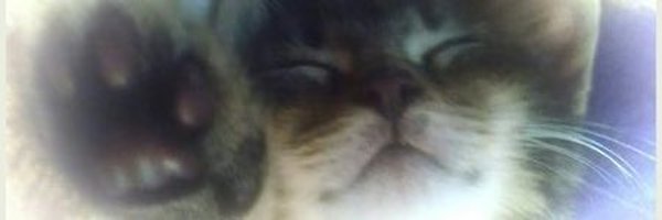 365won Profile Banner