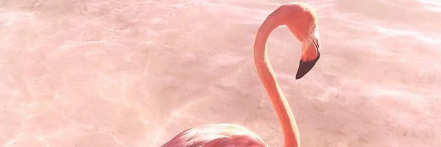 erikadindaaa's profile banner image