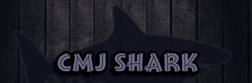 Shark 🦈 banner