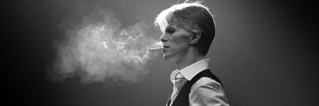 zuzurro's profile banner image