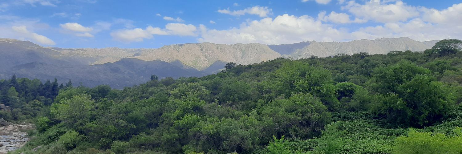 DaniPeritore's profile banner image