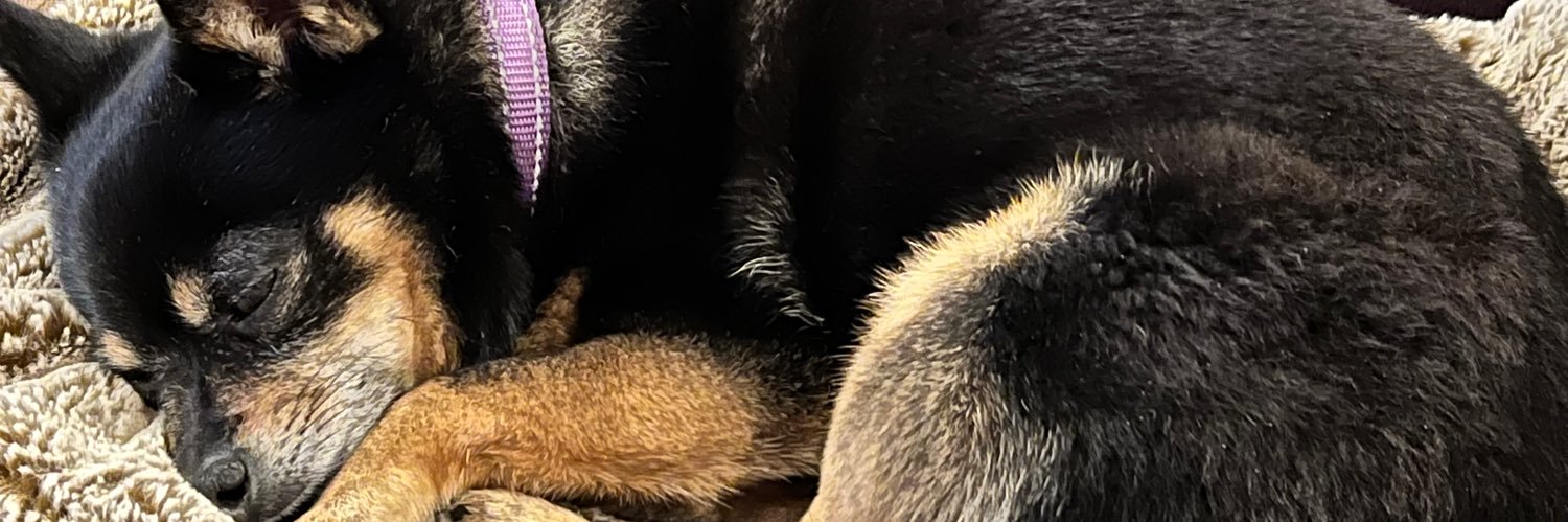 CWWeir's profile banner image