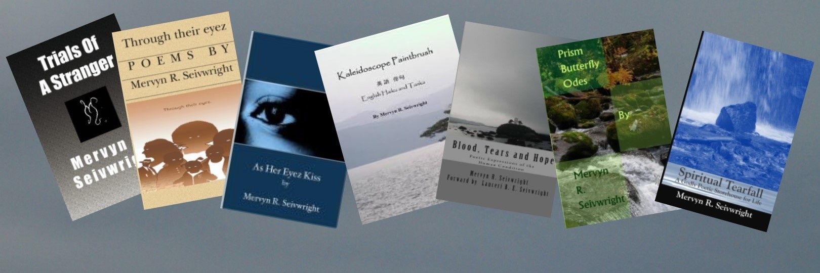 Mervyn Seivwright banner