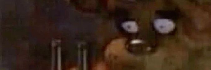 patuncio banner