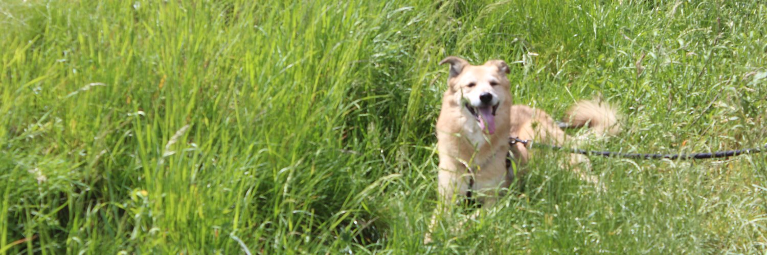 TimsTheory's profile banner image