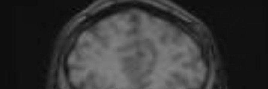 Parlinin's profile banner image