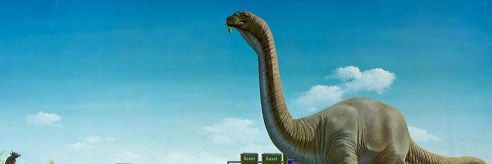 Barnabe_13's profile banner image