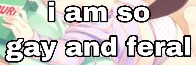 mini banner