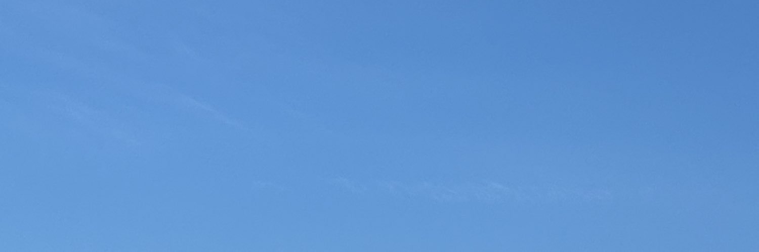 Zane Larson banner