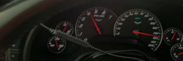 Feline_Musk_ Profile Banner