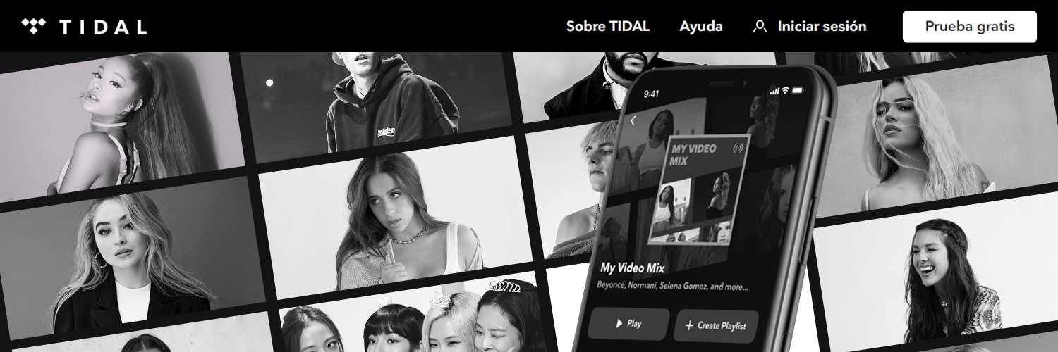 ꔋ𝗂𝖽𝖺𝗹 ᴿᴾ banner