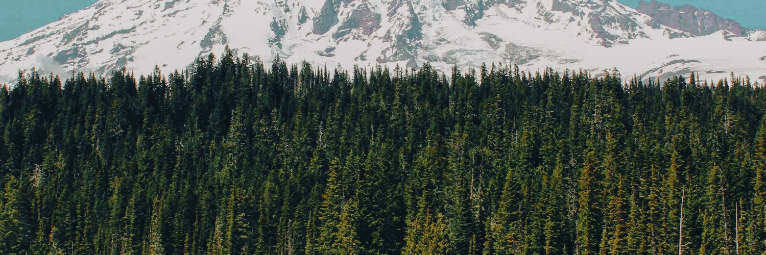 kojjoelfdorx's profile banner image