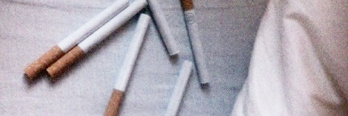CherRPGWSTWS's profile banner image