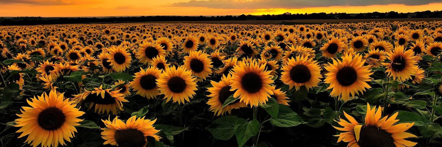 Emily Appleby banner