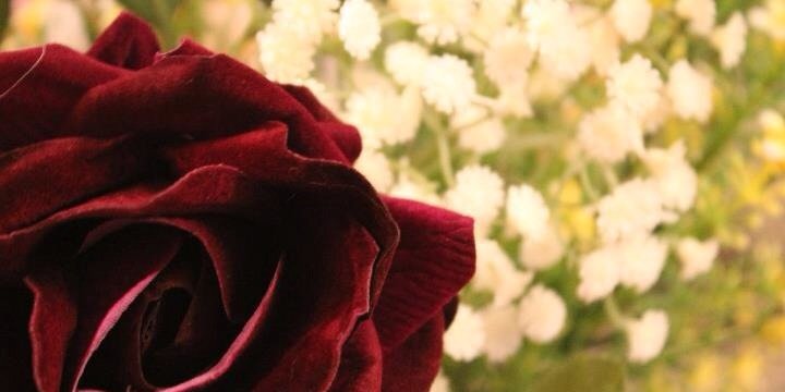__mb18's profile banner image