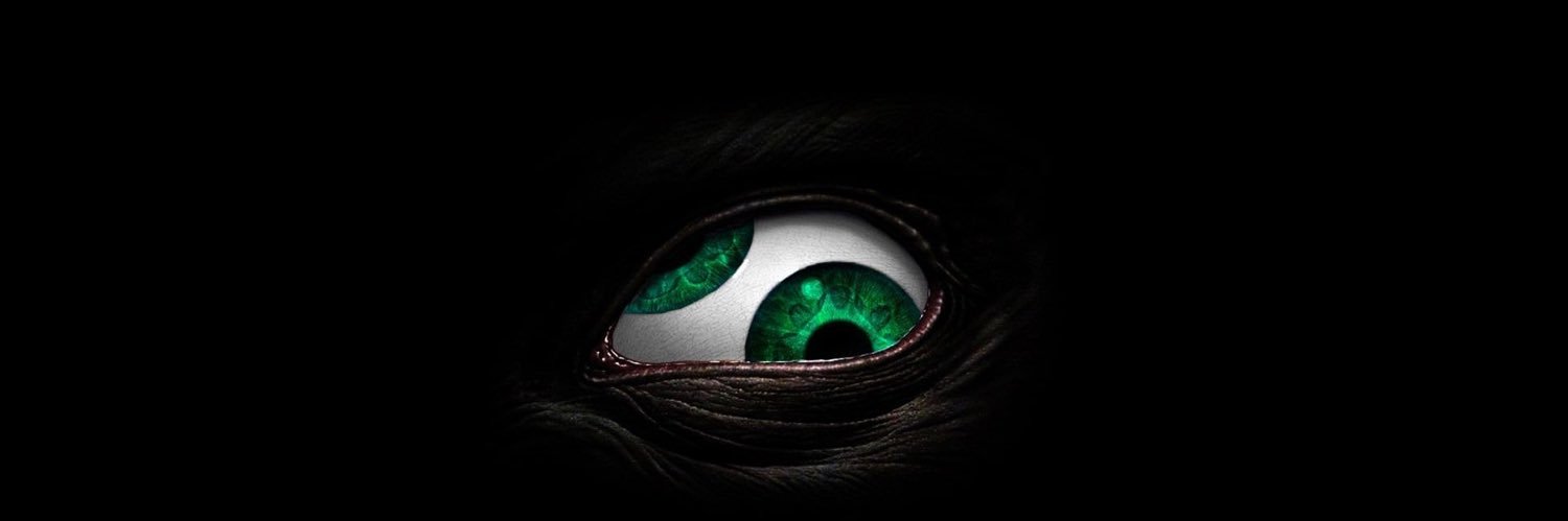 Zillolawisp's profile banner image