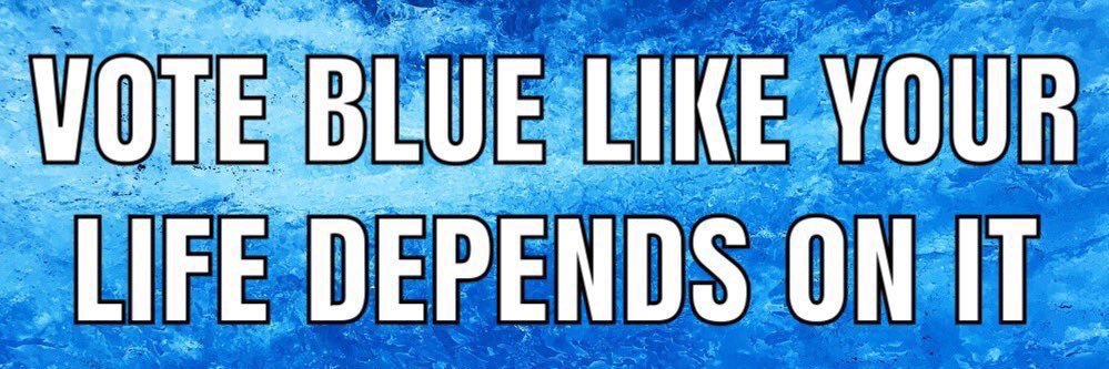 grbsmith #VoteBlueUpAndDownTheBallot2024 🌻🌻 banner