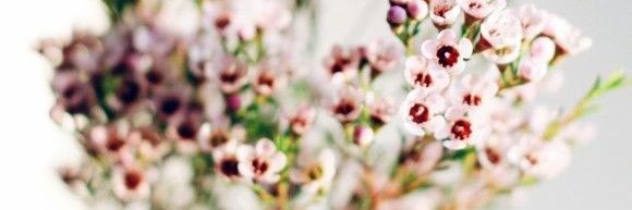 Ru🌞 banner