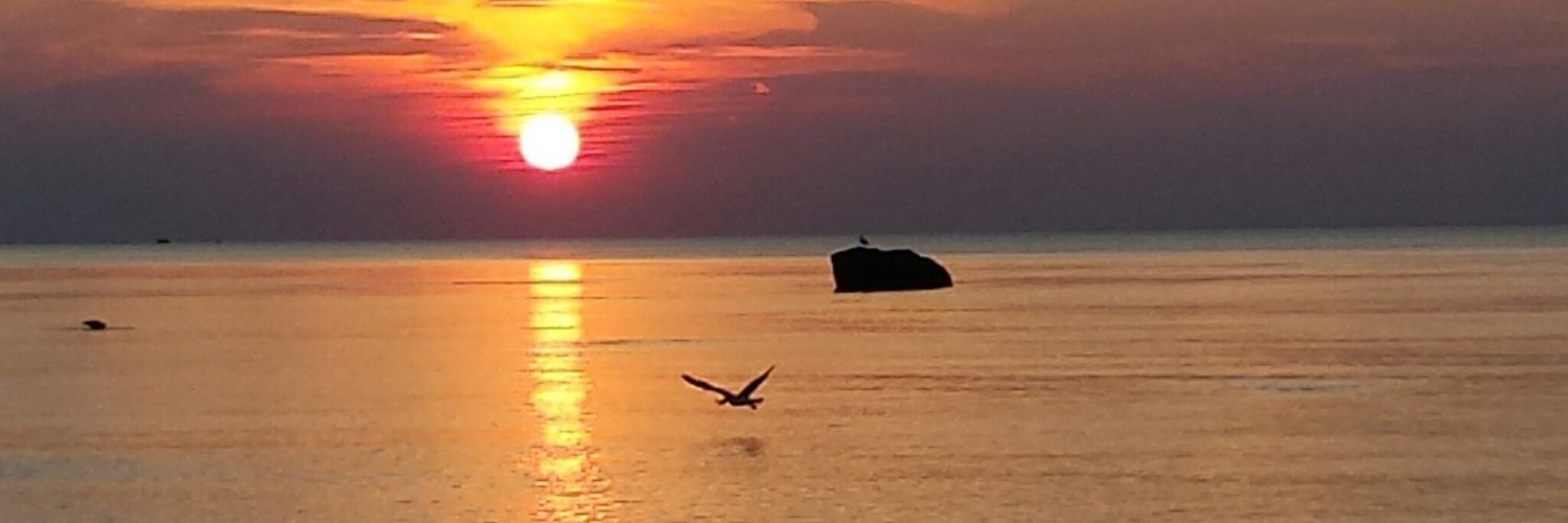 elucarini's profile banner image
