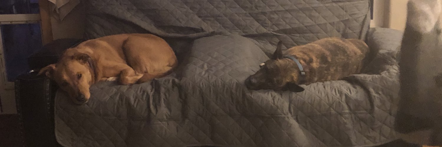 TEGboo's profile banner image