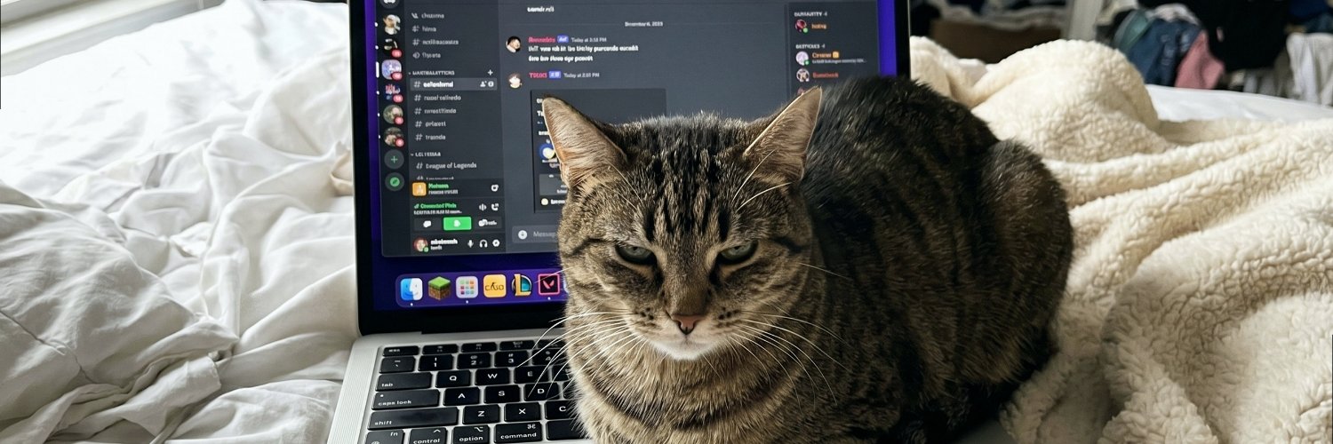 sofiecalm78's profile banner image
