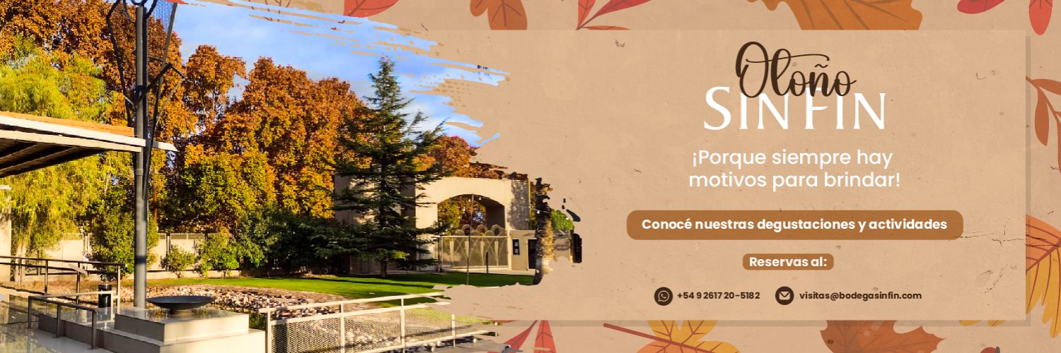 Bodega SINFIN banner