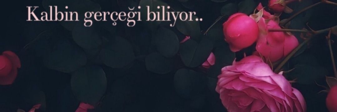 fth_ftm's profile banner image