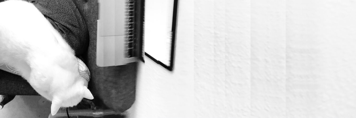 juliaziel's profile banner image