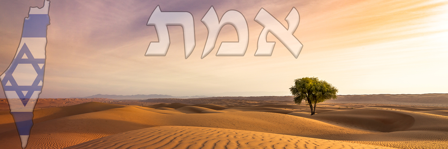 Moshe VERED banner