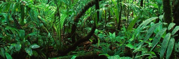 clarkA418 Profile Banner