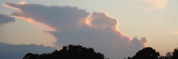 TheNerdCloset's profile banner image