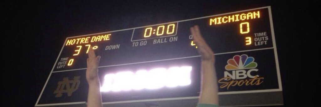 Michael Cosgrove banner