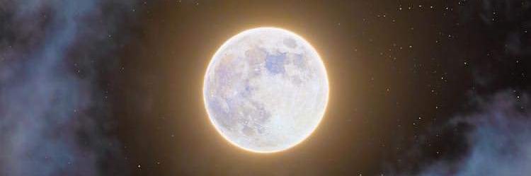 cocoleal's profile banner image