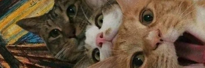 ninalenzzi's profile banner image