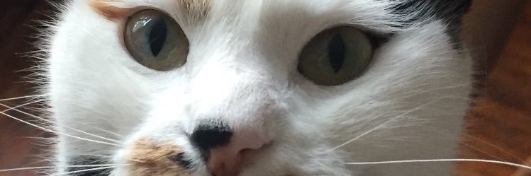 tugbadmr's profile banner image