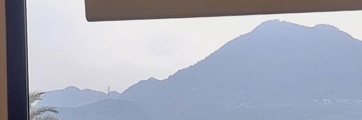토마토 좋아🍅 banner