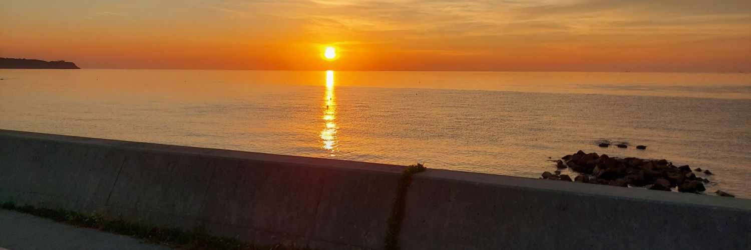 やっぴ🐇⸒⸒ banner