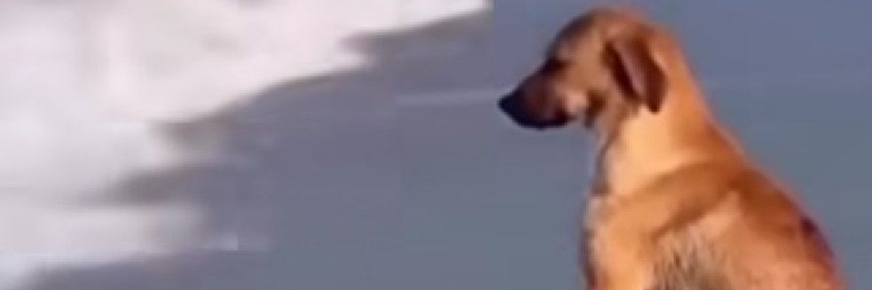 kyayaarakash's profile banner image