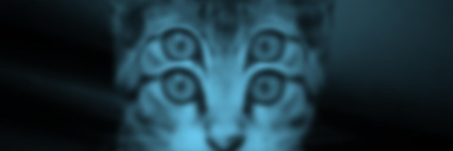 paikokgitu's profile banner image