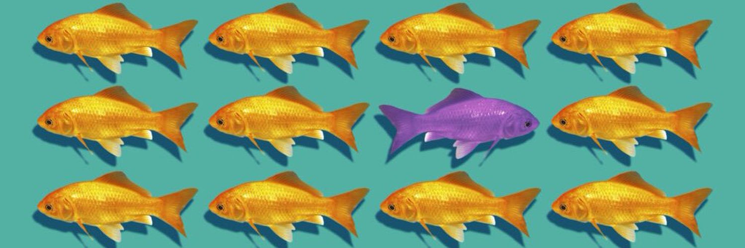 Katrina Collins, MD || Pathologist banner