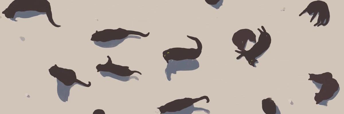 t🐈‍⬛ banner