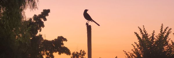 AgnosticFront13 Profile Banner